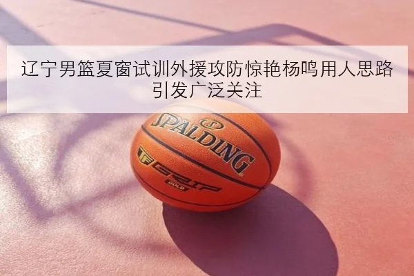 辽宁男篮夏窗试训外援攻防惊艳杨鸣用人思路引发广泛关注
